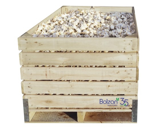 FC 001 - Bins para frutas sensíveis